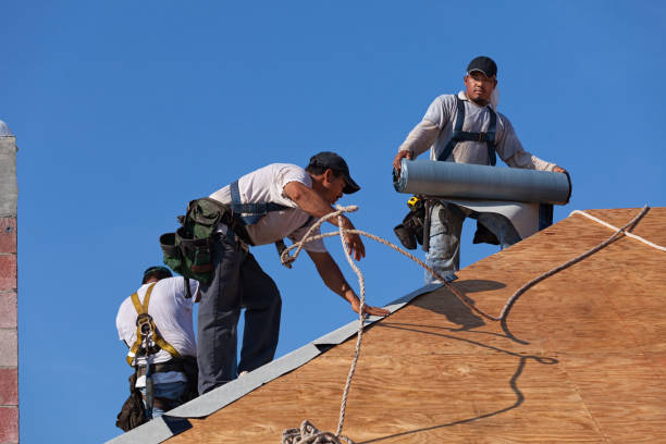 Best Storm Damage Roof Repair  in Pennington Gap, VA