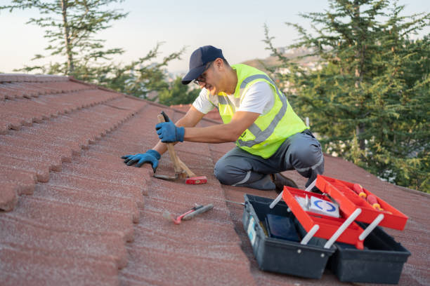 Best Metal Roofing Contractor  in Pennington Gap, VA