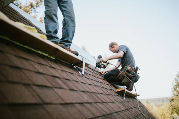 Best Roof Repair Services  in Pennington Gap, VA