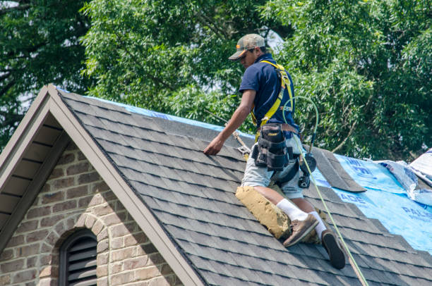 Best Roof Waterproofing Services  in Pennington Gap, VA